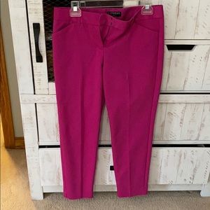 Express dress pants
